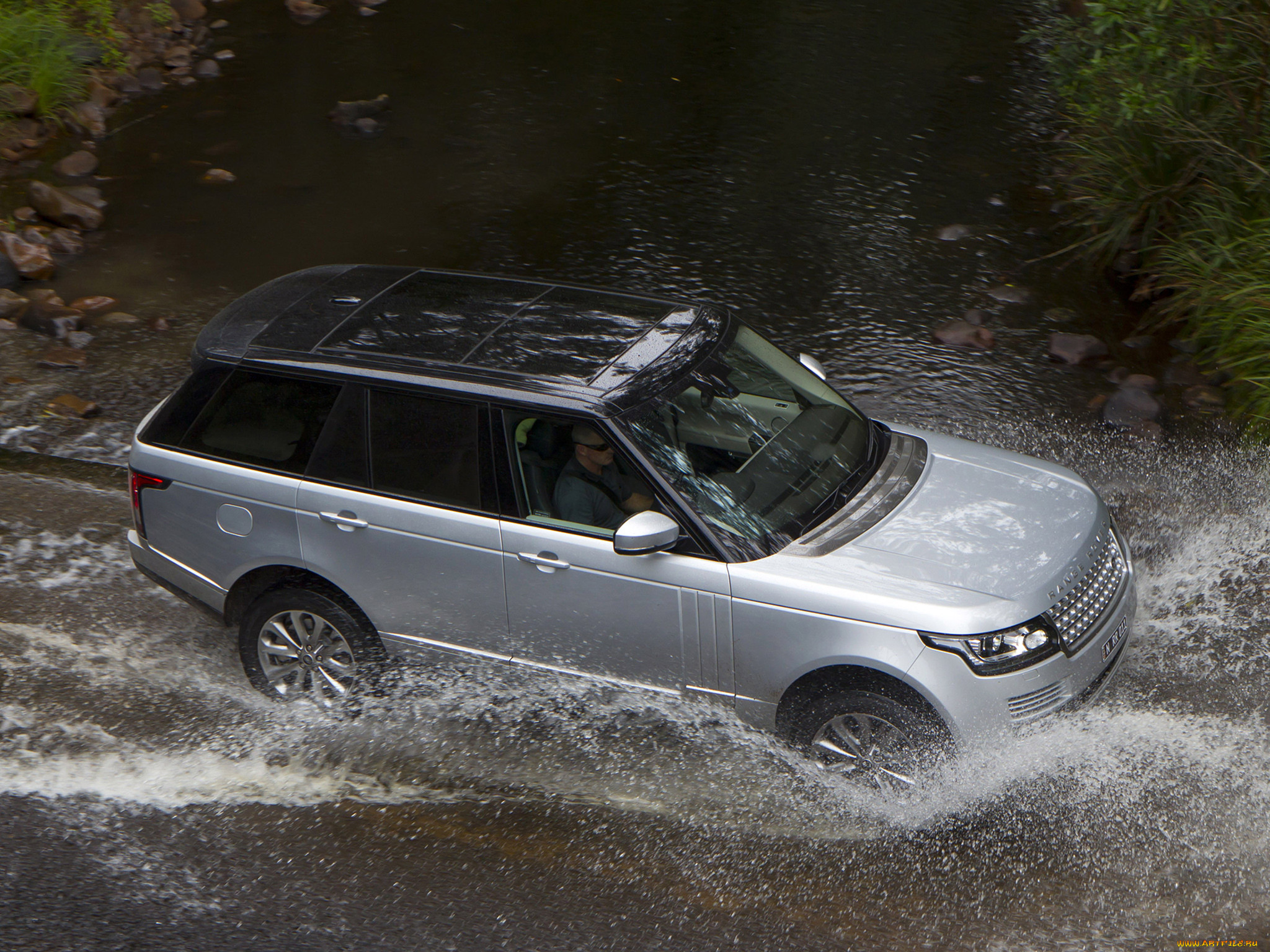 , range rover, 